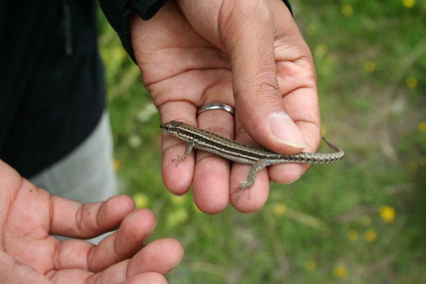 2016-07-02 lizaaaaatd