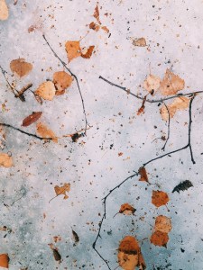 Processed with VSCO with c1 preset