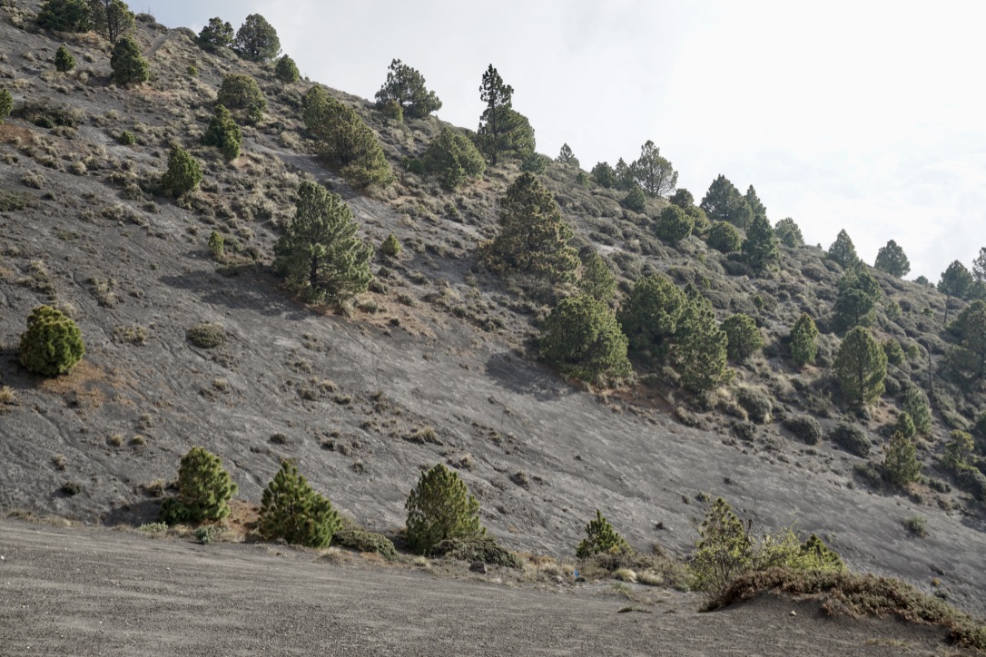 7+01DljeSlux4rTjJl6MXg_thumb_db5