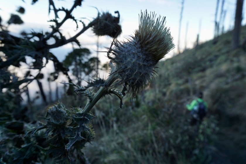 jnV6OOJbQbGBiwuI33HbBA_thumb_dd2