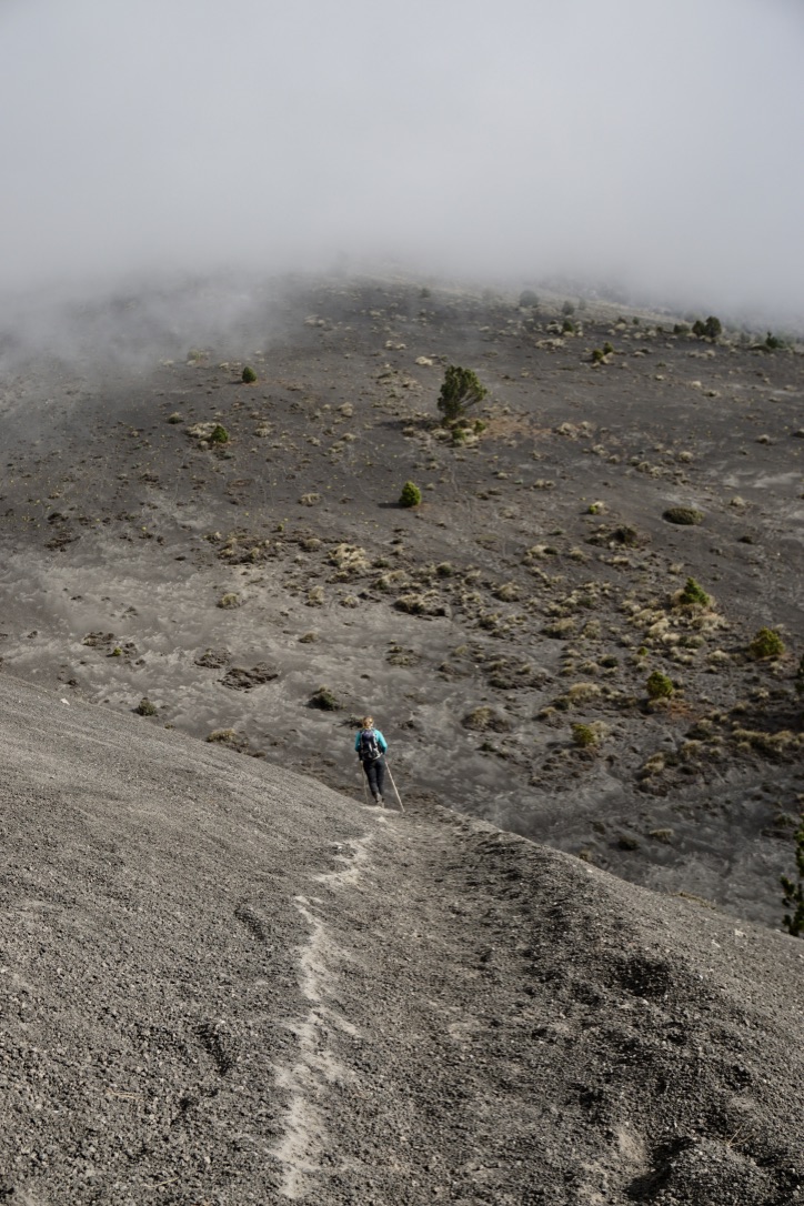 m20ILWqmQlSEQUyj%HqItA_thumb_db4