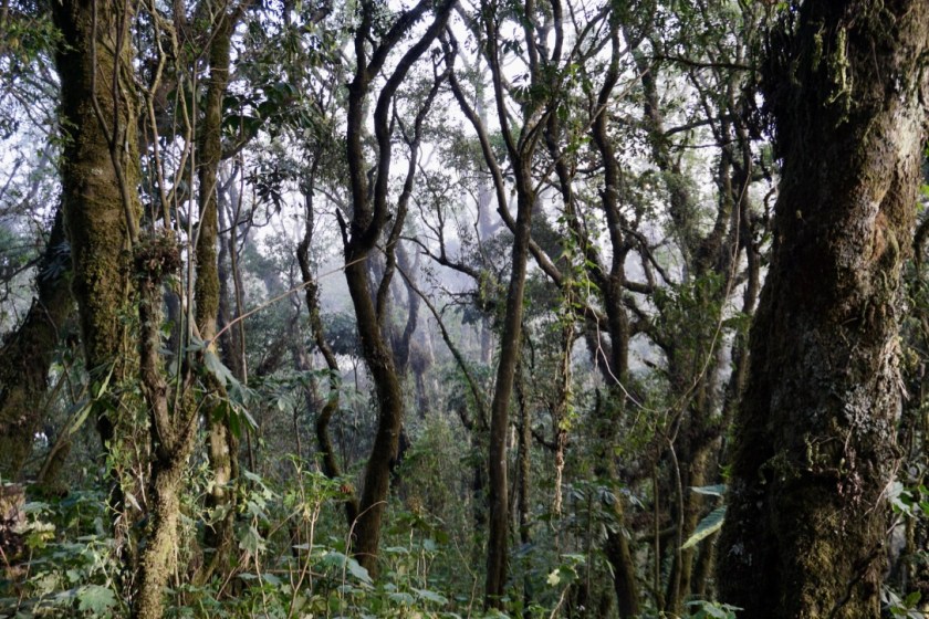 oYJAelTKTuGOomP+UM5I1A_thumb_dd4