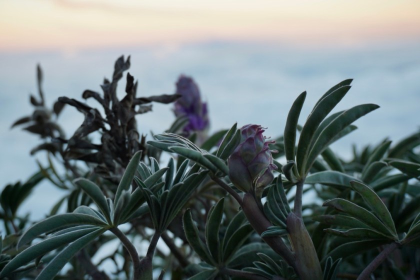 q6tCoT2cTbGPHoQgLRh3Zg_thumb_dcc