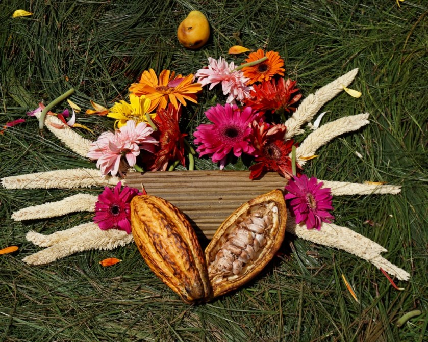 rMa5SawaQT2KEzx81yw_thumb_eef