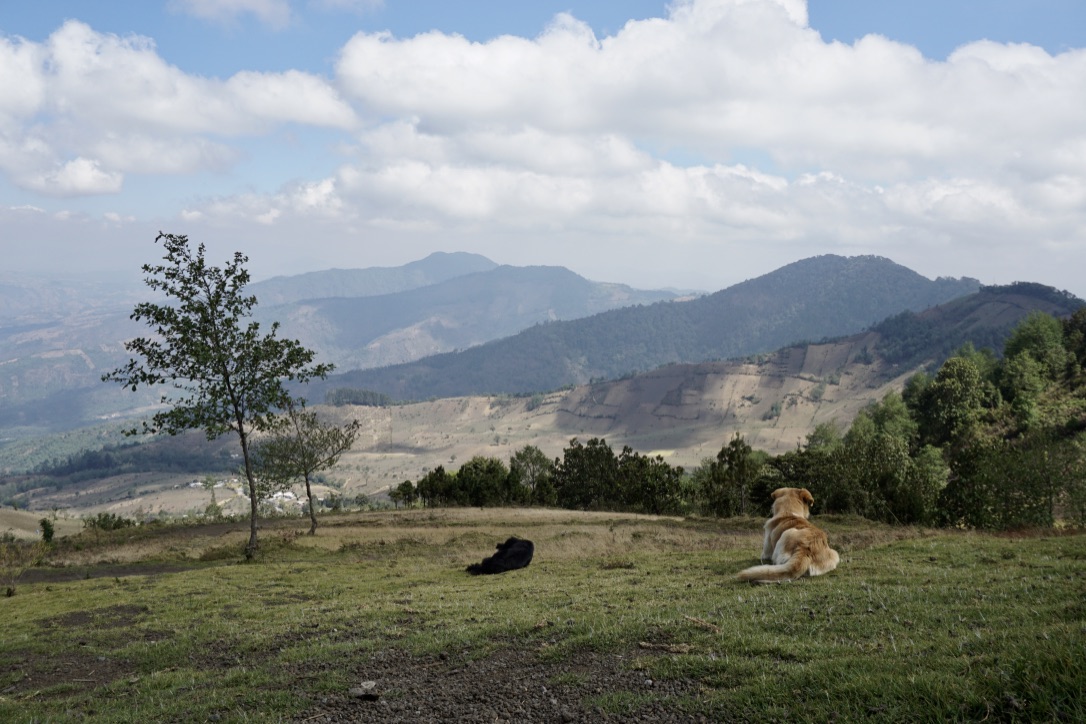 VKj5k7OTQ%u9kqDL%PLIJg_thumb_de2