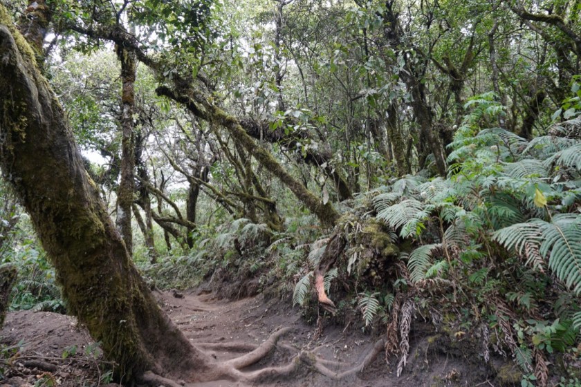 wwiI3K0VQPq1CHLFzlX8Eg_thumb_da9